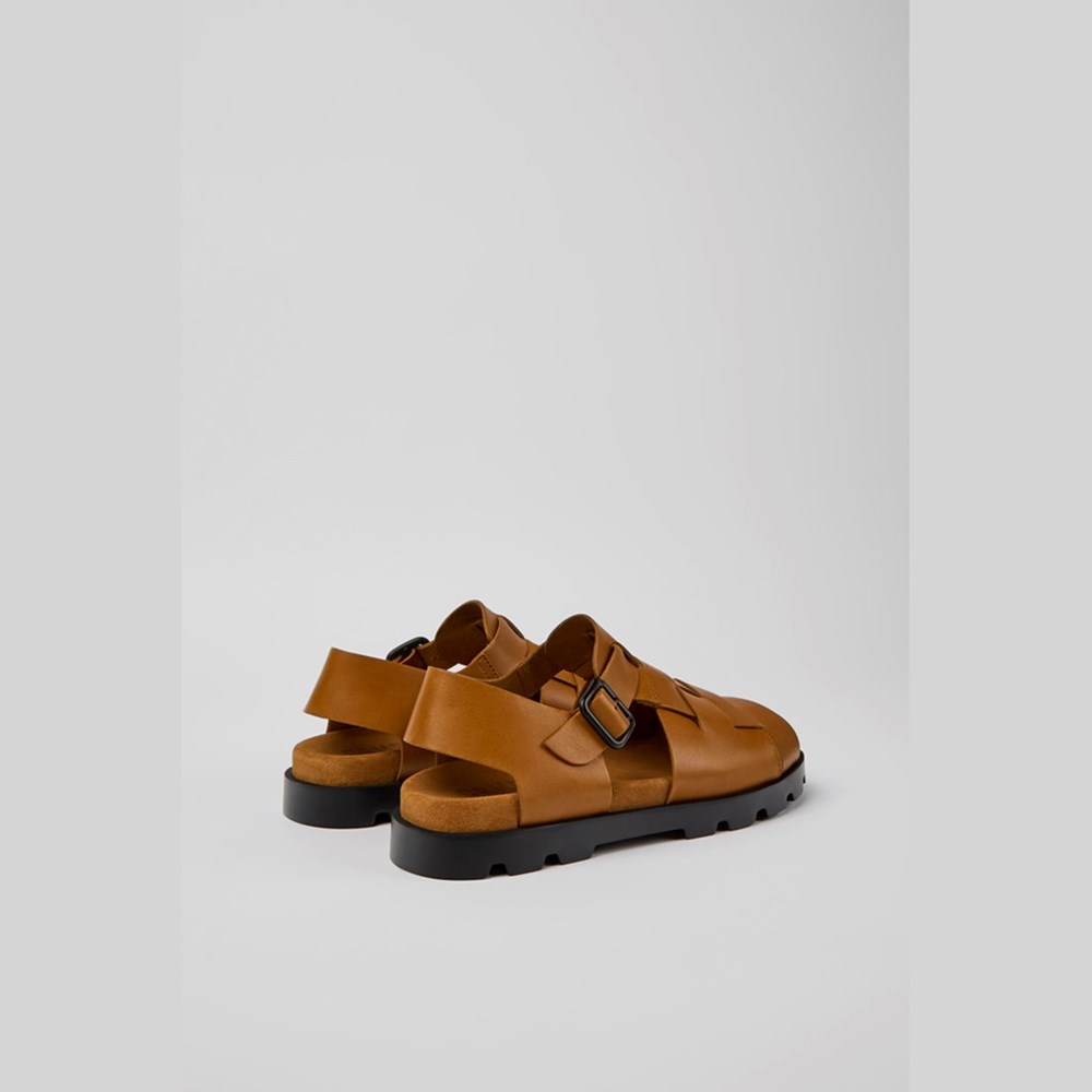 Camper Brutus Sandaler Herre Brune | KCGTN-5402