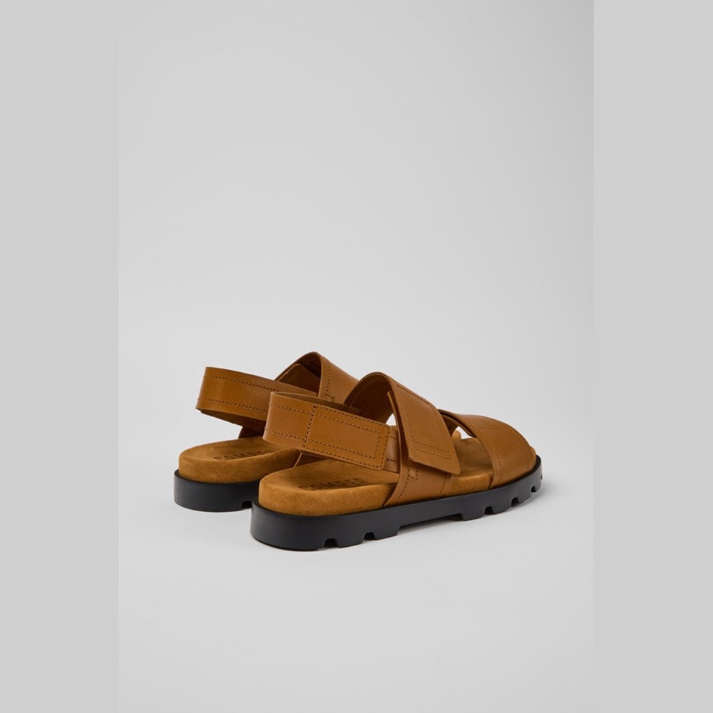 Camper Brutus Sandaler Herre Brune | UIESO-1734